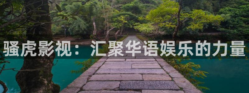 芒果私人影院：骚虎影视：汇聚华语娱乐的力量