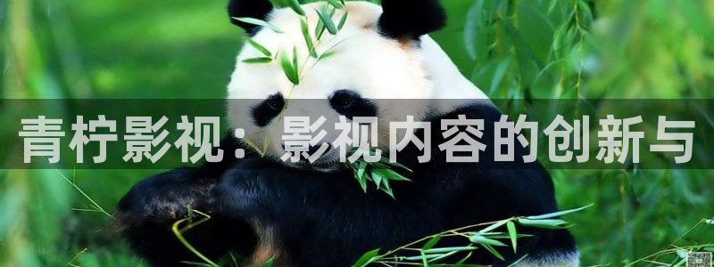 私人影院是什么：青柠影视：影视内容的创新与