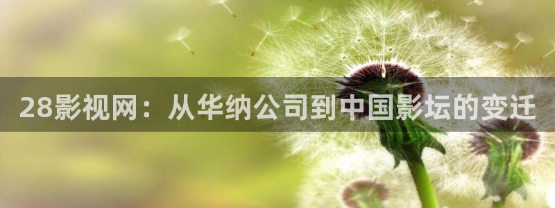 嘉兴私人影院陪看价格表：28影视网：从华纳公司到中国影坛的变迁