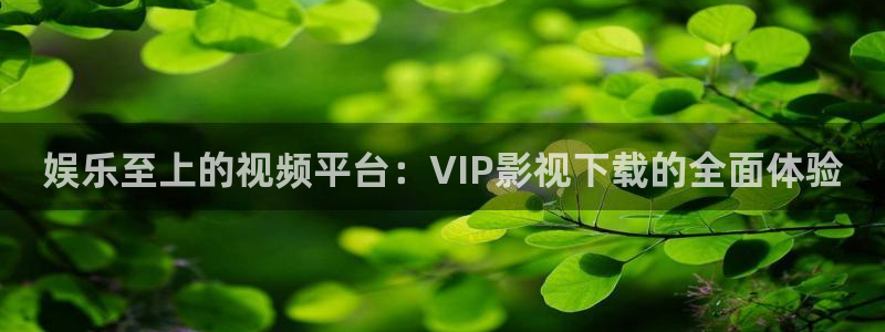 私人影院图片装修效果图片：娱乐至上的视频平台：VIP影视下载的全面体验
