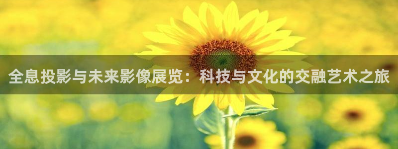 4480私人影院伦理影院：全息投影与未来影像展览：科技与文化的交融艺术之旅