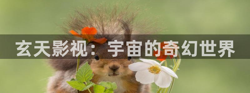 私人影院欧美：玄天影视：宇宙的奇幻世界