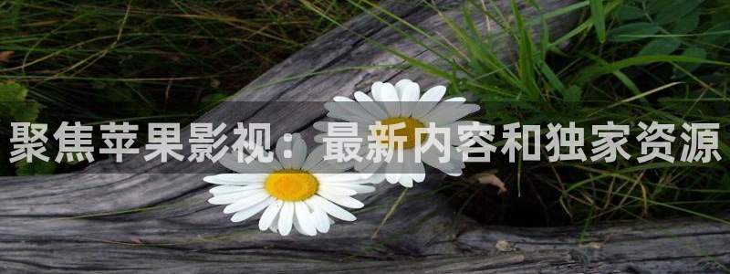 私人影院免费在线播放：聚焦苹果影视：最新内容和独家资源