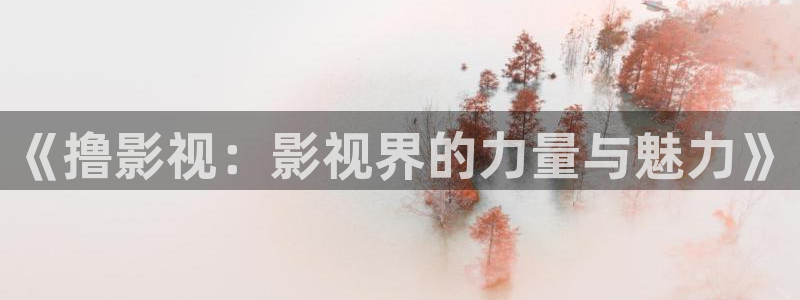 私人影院：《撸影视：影视界的力量与魅力》