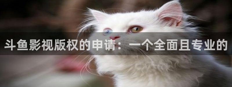 私人影院一个包厢多少钱：斗鱼影视版权的申请：一个全面且专业的