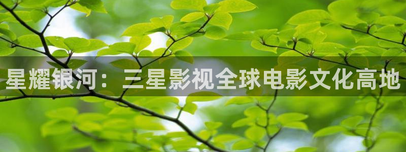 威尼斯私人影城：星耀银河：三星影视全球电影文化高地