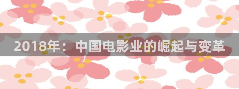 十堰的私人影院：2018年：中国电影业的崛起与变革