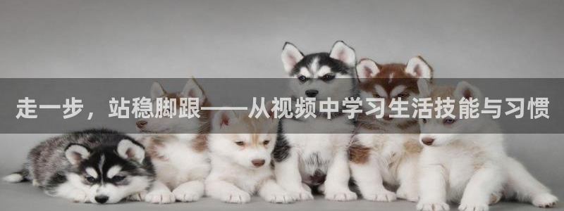 色播播私人影院：走一步，站稳脚跟——从视频中学习生活技能与习惯